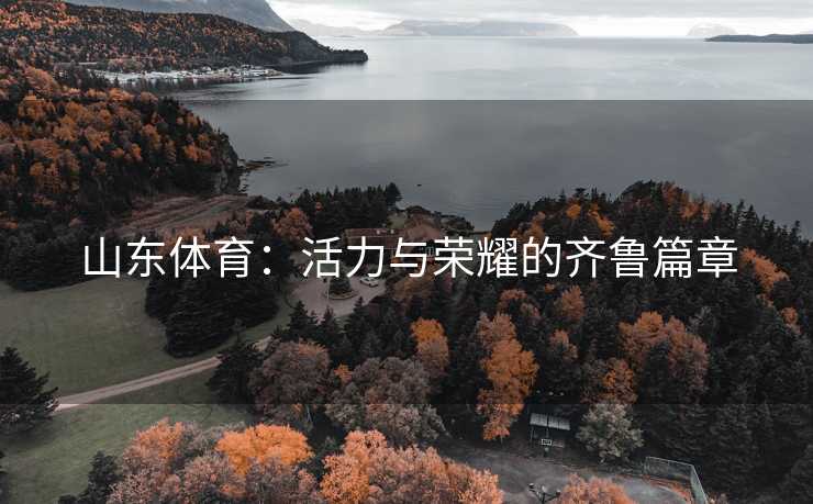 山东体育：活力与荣耀的齐鲁篇章